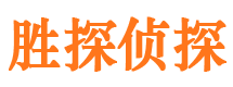 洛龙市侦探公司